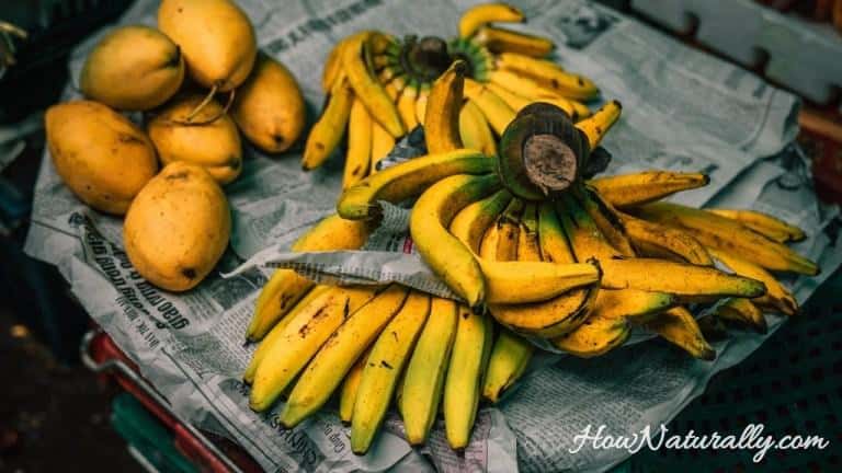 Homemade banana fertilizer | DIY the easiest recipe