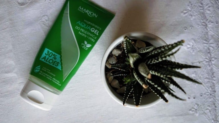 Aloe aqua gel for face and body care Marion